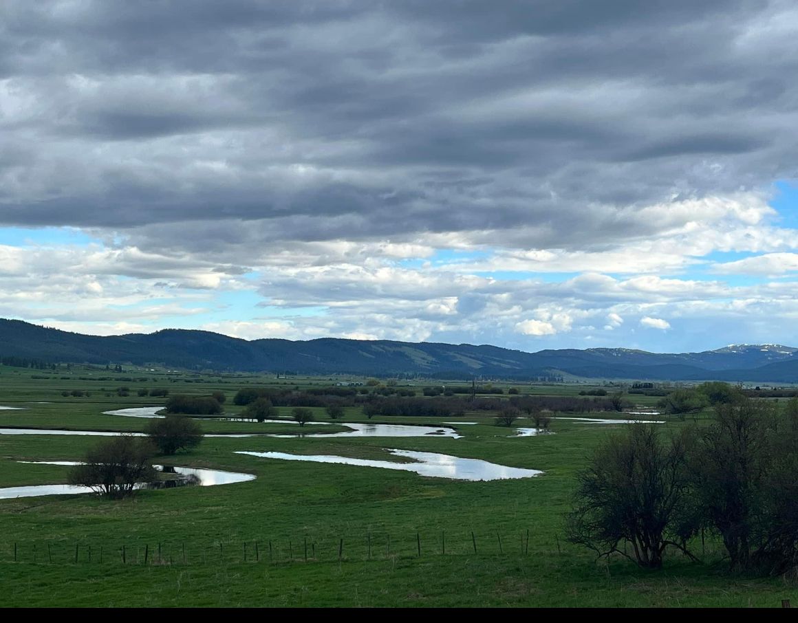 Meadows Valley in spring, with river channels winding through green pasture below timbered hills