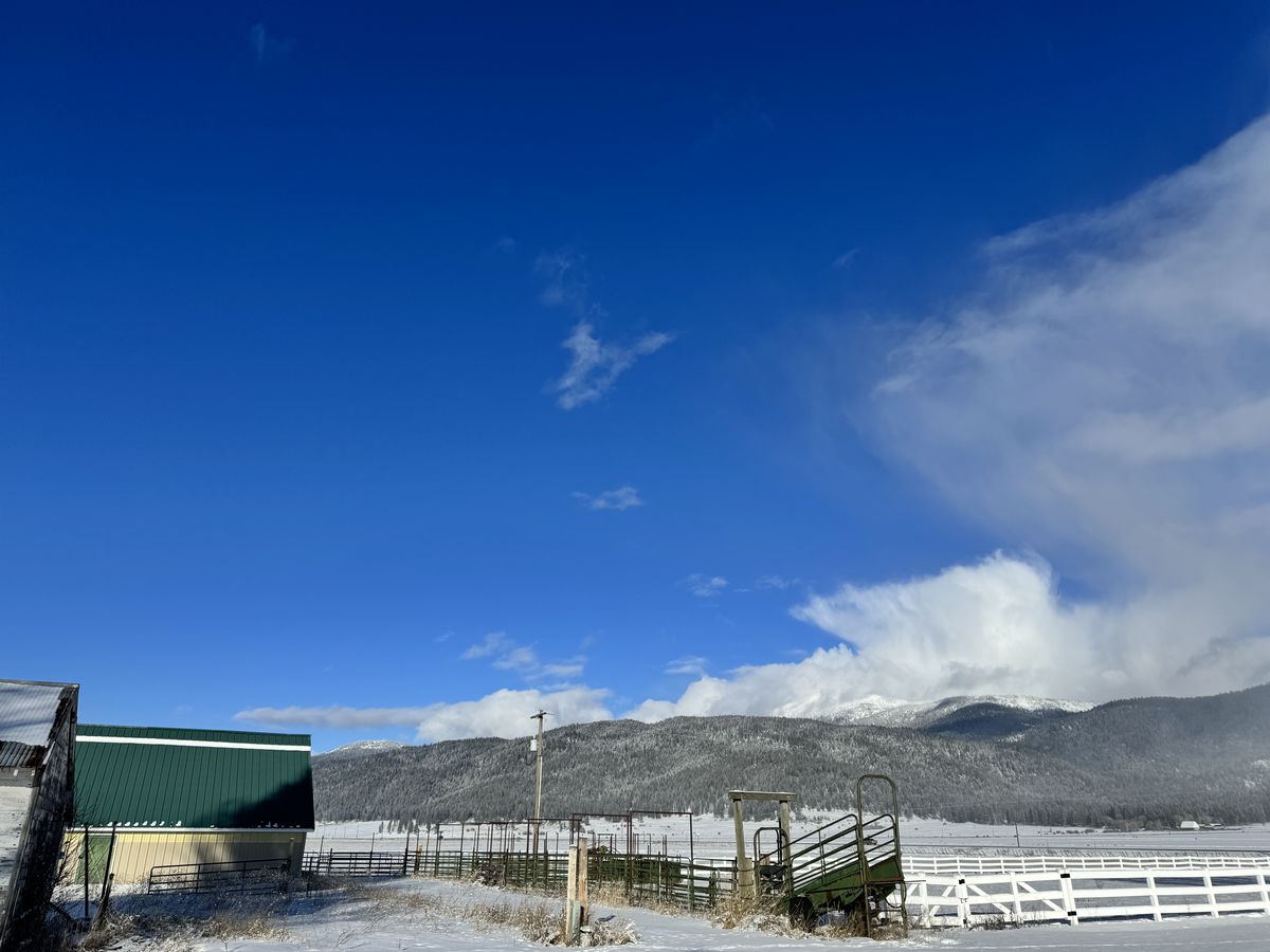The barn, corrals and loading chute under fresh snow, with snow-covered mountains behind